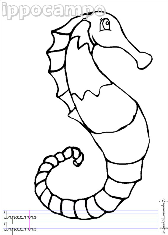 coloriage hippocampe 1